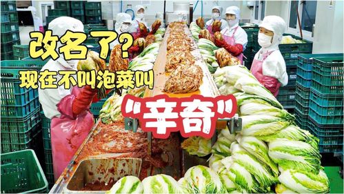 雨軒齋清真食品 堅守“辛奇”品質，踐行HACCP最高衛生標準